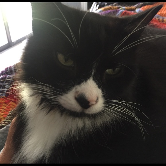 Meet your Posher, Rao - Picture 1 of 1